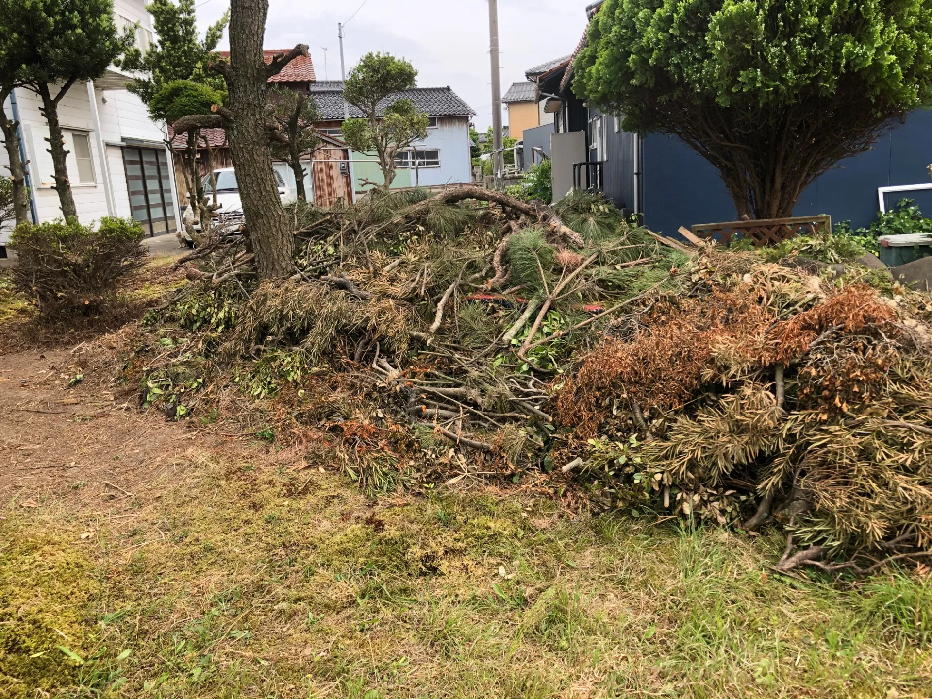 便利屋あいのて