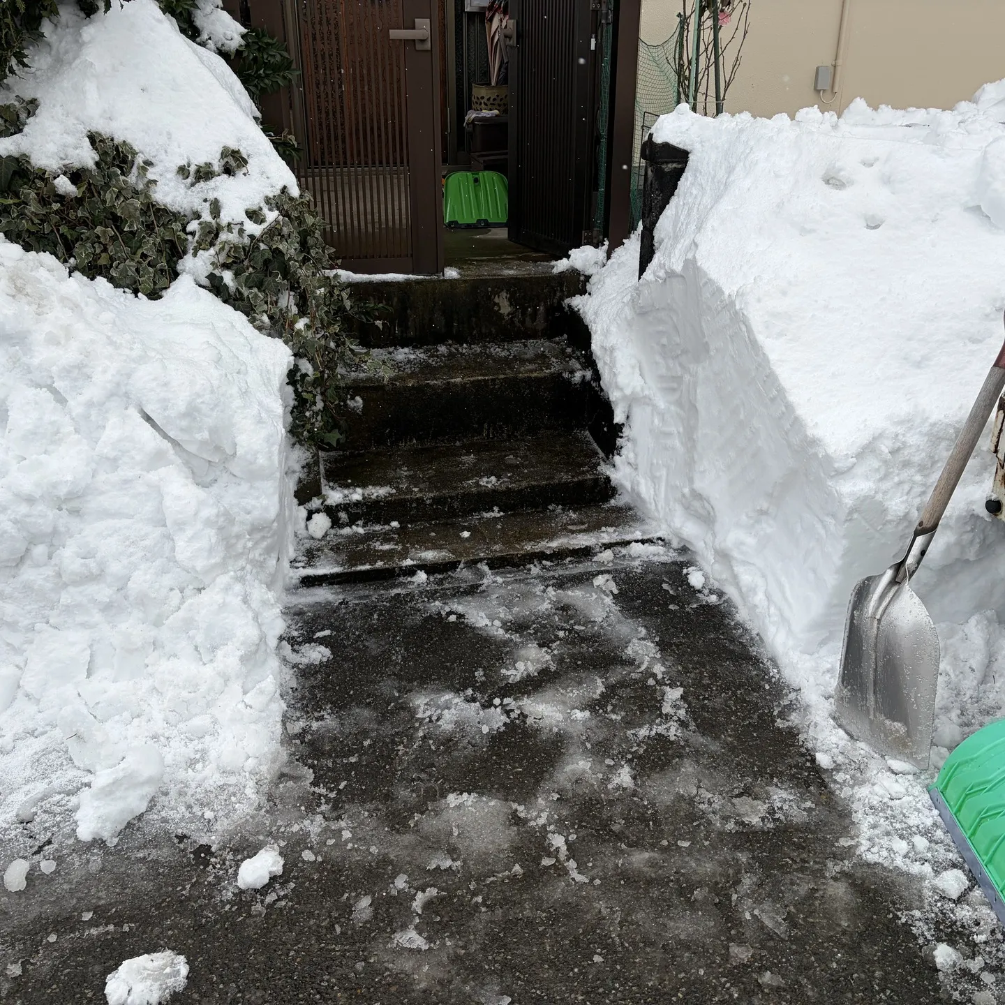 もう雪の季節がやってきましたね。