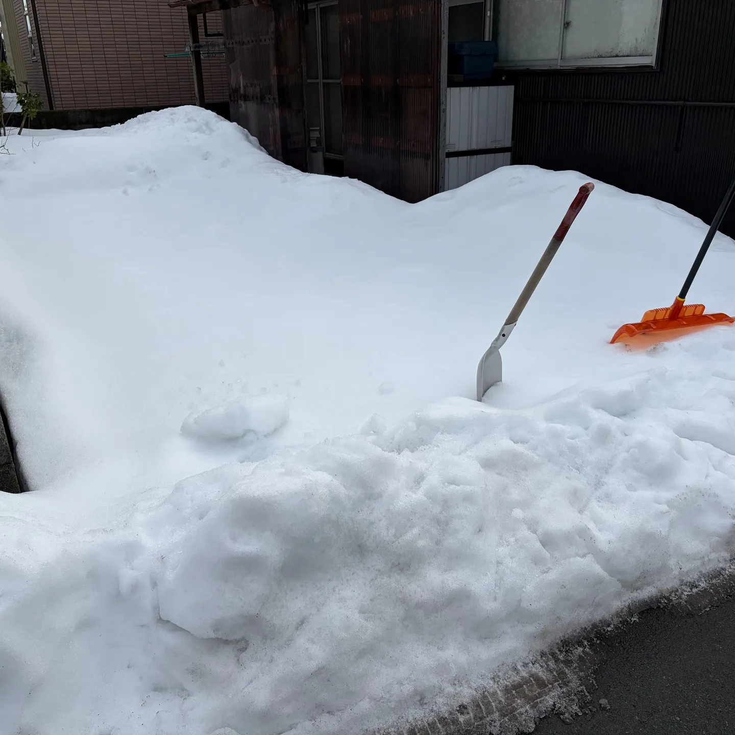 今回は駐車スペースの確保というミッションでした。